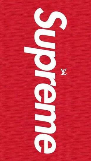 Supreme Louis Vuitton Sumacase