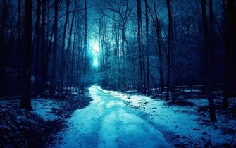 Winter Trees Wallpaper Roads