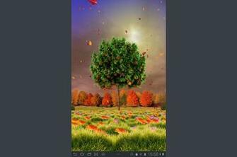 The Program Autumn Trees Live Wallpaper For Android