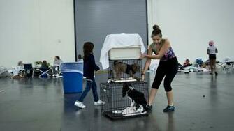 Maryland Spca To Take In Animals From Texas Shelters Affected By