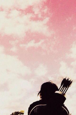 Hunger Games Wallpaper iPhone Teahub Io