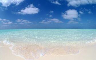 Back Beach Wallpaper Original Golden