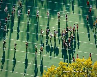 University Of Wisconsin Share The Wonderful