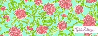 Lilly Pulitzer Alpha Chi Omega Print Items Coming Soon May Make Good