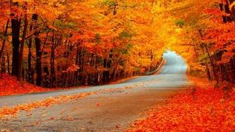 Fall Wallpaper HD Background Of Your Choice