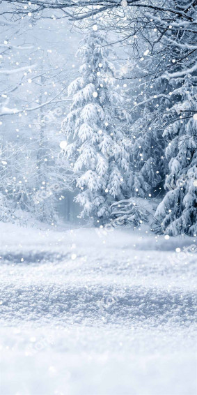 Kate Winter Wonderland Backdrop Snowfield For Photographer