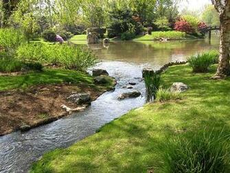 Nature Wallpaper Wonderful Stream
