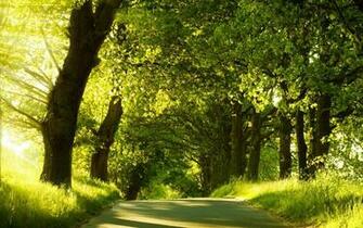 Dual Screen Nature Wallpaper