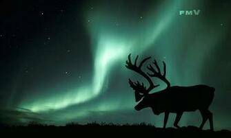 Northern Lights Photographed On Tundra In Alaska Usa Late