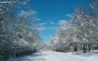 Wisconsin Winter Scene By Purrrplcat