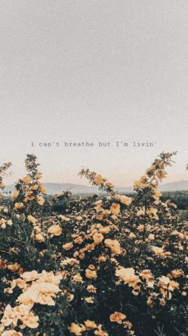 Deep Wallpaper Top Background