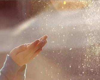 Rain Wallpaper