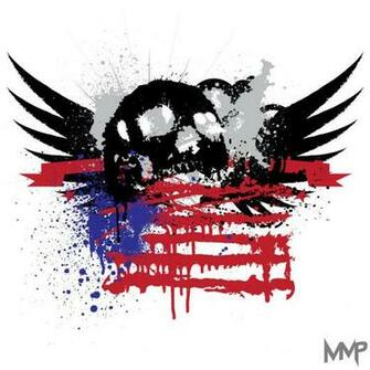 Usa Skull And Flag By P Massmanpro