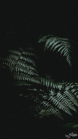 iPhone Background I Love