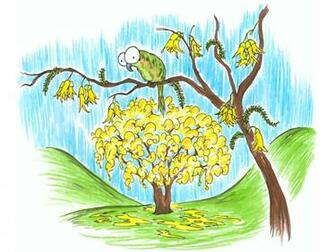Screen Background A Kakapo In Kowhai Tree Bluebison Net