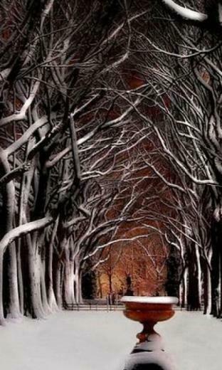 Wallpaper Background Snow Central Park Winter