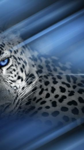 Blackberry Wallpaper For Jaguar Eye Personal