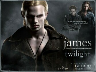 Wallpaper Twilight Guide