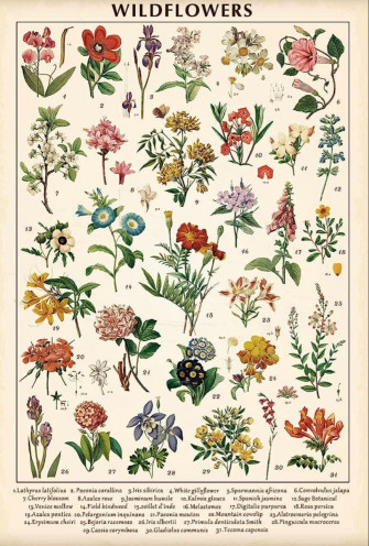 Vintage Wildflowers Poster Wallpaper
