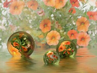 Beautiful Wallpaper Desktop