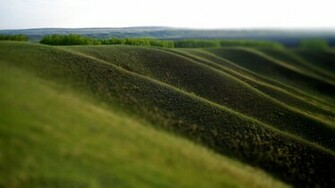 Green Hills Wallpaper