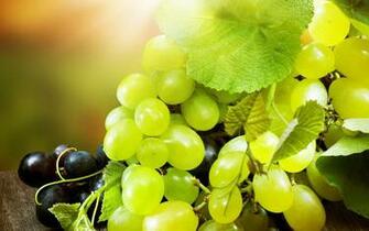 Best HD Walls Of Grapes HDq Wallpaper