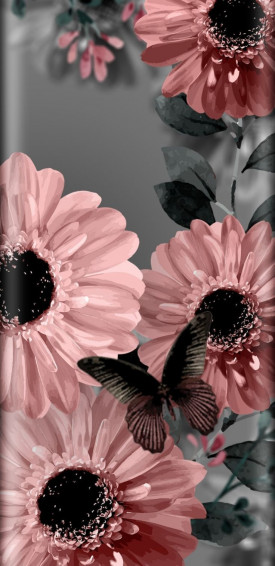 Best Mobile Wallpaper Photo Image