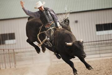 Bull Riding Bullrider Cowboy Western Cow Extreme Rodeo