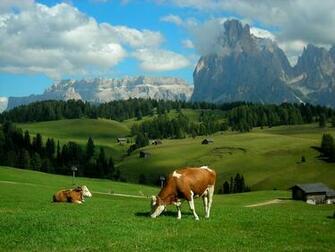 Landscape Rustic Farm Wallpaper