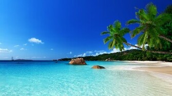 Paradise Beach Ocean Sea Palm Summer Coast Wallpaper Background