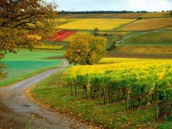 Scenery Wallpaper Background Paos Image And Pictures For