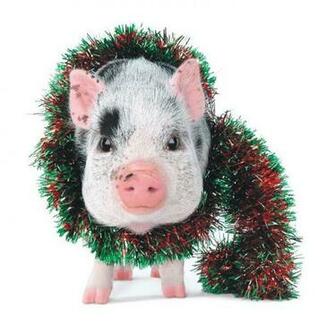 Aws Christmas Pig Photo Daily Dose Of Cute