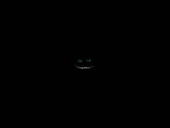 Cheshire Cat By Spitfire1686