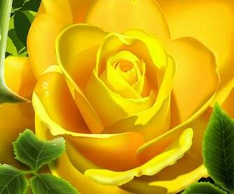 Flower Mobile Phone Wallpaper HD Img