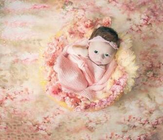 Newborn Backdrops Customized Computer Printed Vinyl