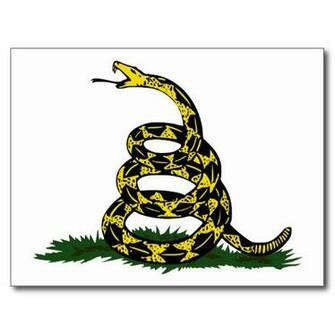 Create Postcard Snake Pictures
