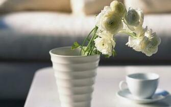 Vase Wallpaper HD Topwallpaper