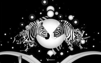 Desktop Zebra Wallpaper Background For HD