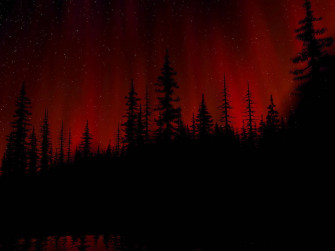 Black And Red Wallpaper