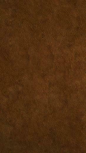 Omnia HD Wallpaper Leather By Osmanmuslu