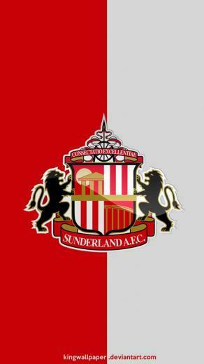Afc Sunderland Moblie Background By Kingwallpaper