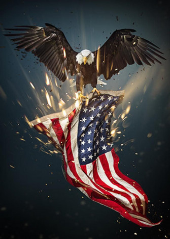 Bald Eagle American Flag Door Decoration Decor Covers