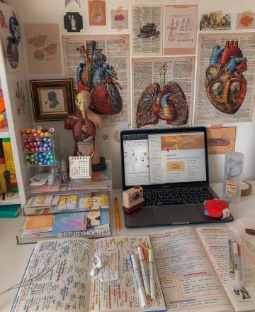 Francis Feuerstein On Medicine In Med School