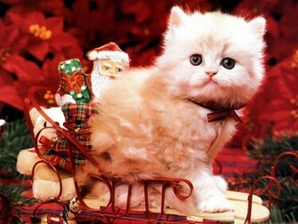 Cute Christmas Background Desktop