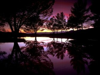Purple Extravaganza Nature Wallpaper