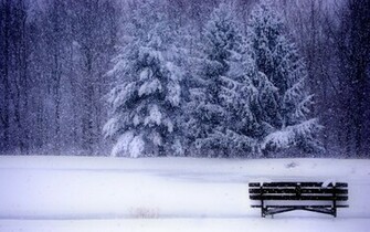 Snow Scenes Wallpaper