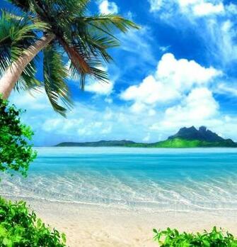 Tropical Beach Wallpaper St Lucie West Centennial High