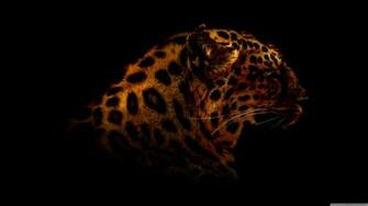Wallpaper Full HD 1080p High