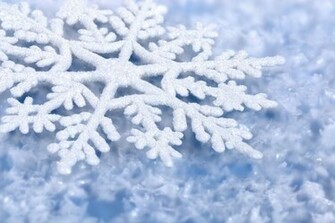Winter Snow Flakes Photo