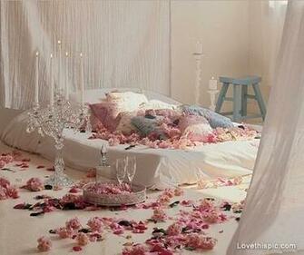 Bed Of Roses Pictures Photos And Image For